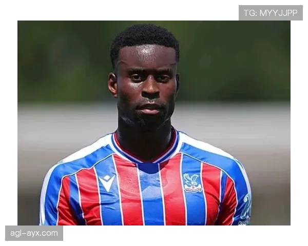 水晶宫新赛季表现稳健，面临挑战能否突破前六名？