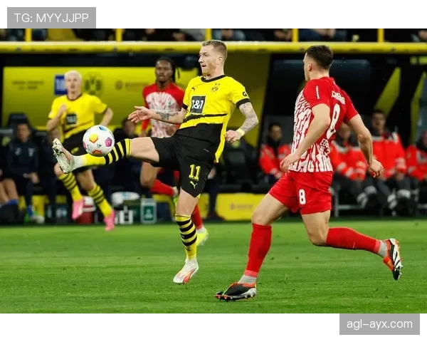 狼堡本赛季进攻数据表现稳健，场均射正与关键传球数持续提升